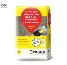 WEBER.TAI FIX  (25KG/BAO)